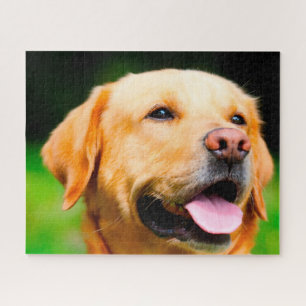 Labrador Hund. Puzzle