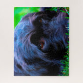 Labrador Hund. Puzzle (Vertikal)