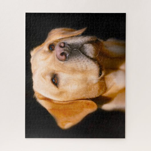 Labrador Hund. Puzzle (Vertikal)