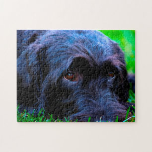 Labrador Hund. Puzzle