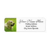 Labrador Hund Rücksendeadresse (Vorne)