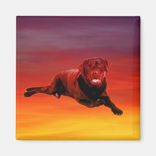 Labrador Hund sitzend am Strand Magnet (Vorne)