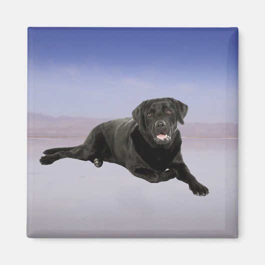 Labrador Hund sitzend am Strand Magnet (Vorne)