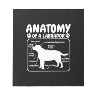 Labrador Hundanatomie Notizblock