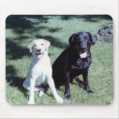 Labrador-Hunde Mousepad (Vorne)