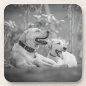 LABRADOR HUNGS RELAXING GETRÄNKEUNTERSETZER (Vorderseite)