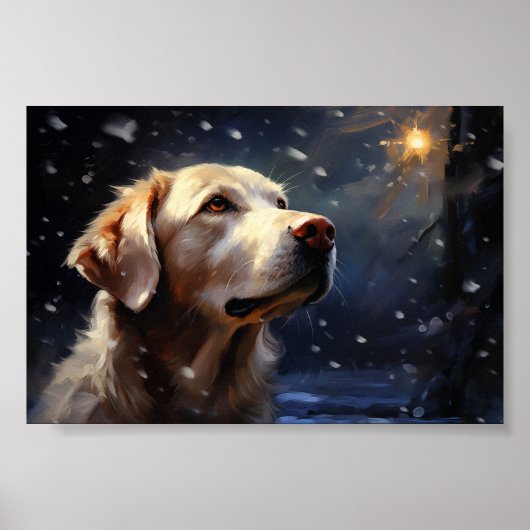 Labrador in der Nacht Poster (Vorne)