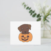 Labrador in Pumpkin Niedliche Hunde glückliche Hal Postkarte (Stehend Vorderseite)