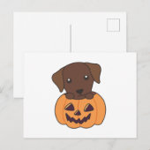 Labrador in Pumpkin Niedliche Hunde glückliche Hal Postkarte (Vorne/Hinten)