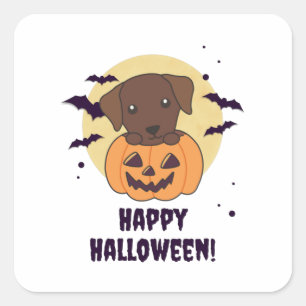 Labrador in Pumpkin Niedliche Hunde glückliche Hal Quadratischer Aufkleber