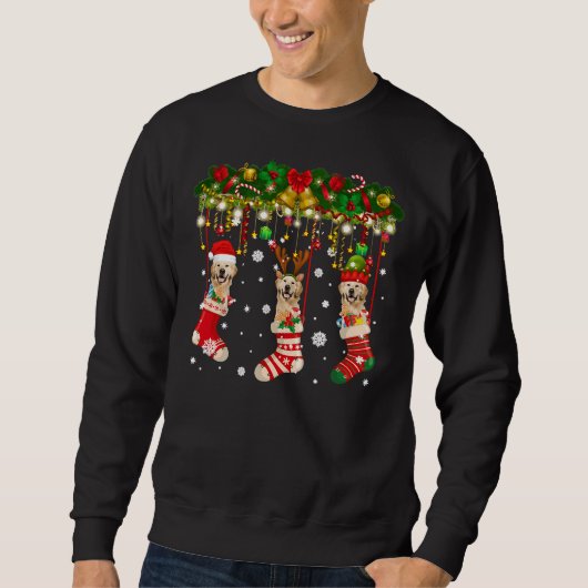 Labrador in Sock Xmas Rentier Santa Sweatshirt (Vorderseite)