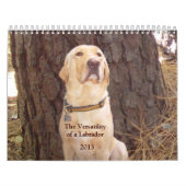 Labrador-Kalender - 2013 Kalender (Titelbild)