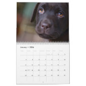 Labrador-Kalender Kalender (Jan 2026)