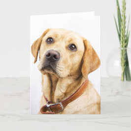 Labrador Karte