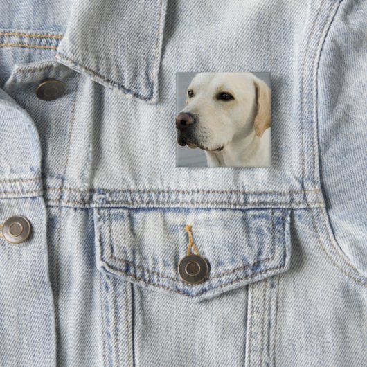 Labrador-Knopf Button (Beispiel)