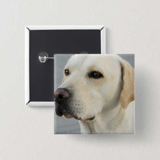 Labrador-Knopf Button (Vorne & Hinten)
