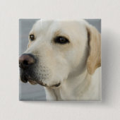 Labrador-Knopf Button (Vorderseite)