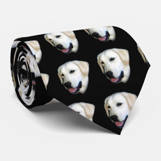 Labrador-Krawatte Krawatte (Gerollt)