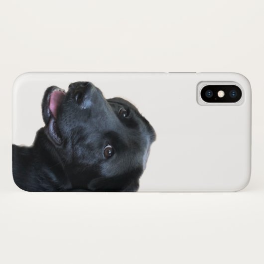 Labrador-Liebe Case-Mate iPhone Hülle (Rückseite (Horizontal))