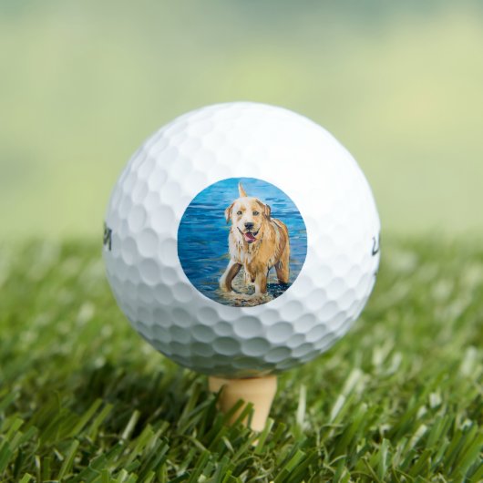 Labrador Liebe Golfplätze Golfball (Insitu T-Shirt)