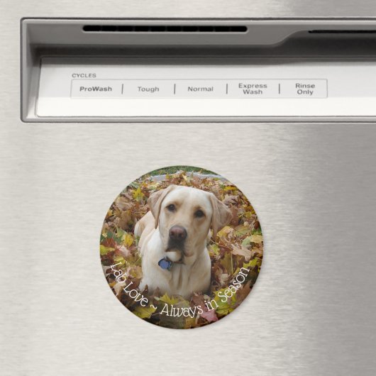 Labrador Liebe ~ Immer in der Saison Magnet (In Situ (Geschirrspüler))