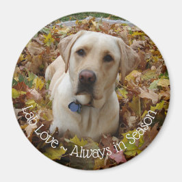 Labrador Liebe ~ Immer in der Saison Magnet