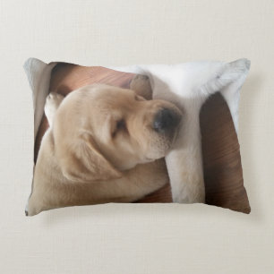 Labrador-Liebe-Kissen Zierkissen