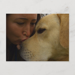 Labrador-Liebe Postkarte