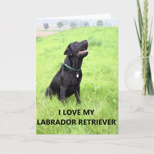 Labrador Liebe w pic Karte (Vorderseite)