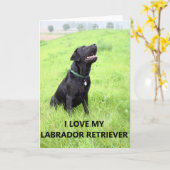Labrador Liebe w pic Karte (Gelbe Blume)