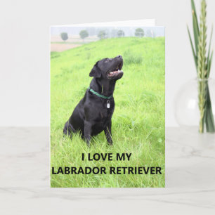 Labrador Liebe w pic Karte