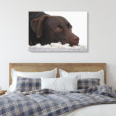 Labrador Lorenzo -..- Leinwanddruck (Insitu (Schlafzimmer))