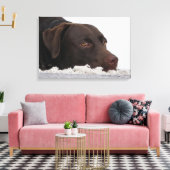 Labrador Lorenzo -..- Leinwanddruck (Insitu (Wohnzimmer))