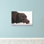 Labrador Lorenzo -..- Leinwanddruck (Insitu (Holzboden))
