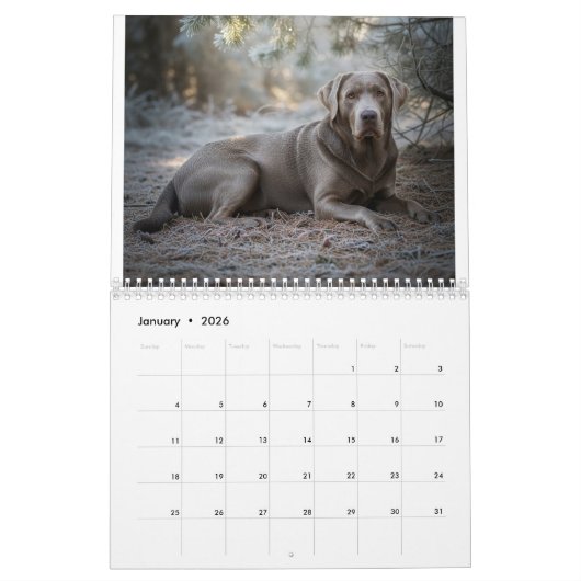 Labrador Love Calendar Kalender (Jan 2026)