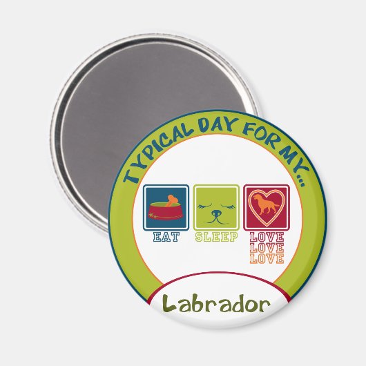 Labrador Magnet (Vorderseite/Rückseite)