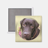 Labrador Magnet (Vorderseite/Rückseite)