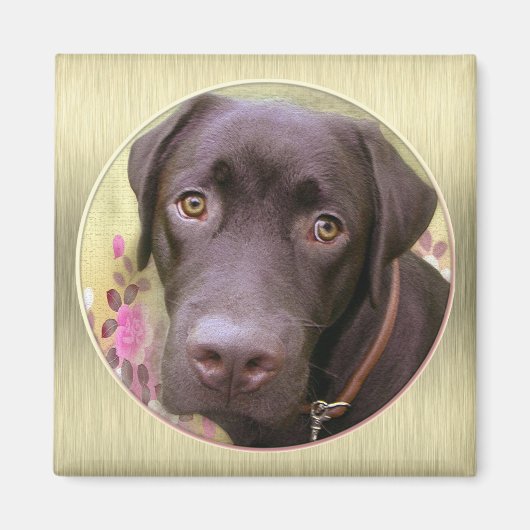 Labrador Magnet (Vorne)