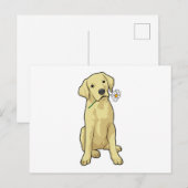 Labrador-Margerite Postkarte (Vorne/Hinten)