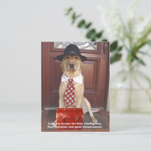 Labrador-Merkmale - feine Zeichen Postkarte (Stehend Vorderseite)