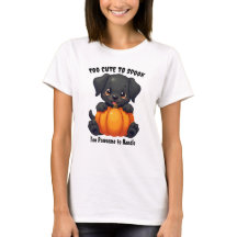 Labrador mit einem Pumpkin, Halloween