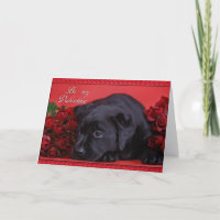 Labrador mit Rose