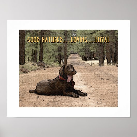 Labrador mit Schokolade auf einem Waldpfad, für de Poster (Vorne)