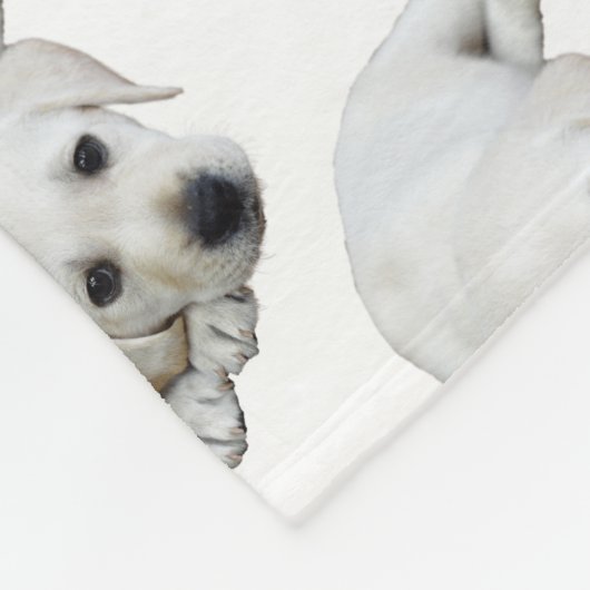 Labrador nach oben fleecedecke (Ecke)