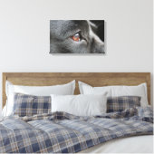 Labrador Nah hoch Leinwanddruck (Insitu (Schlafzimmer))