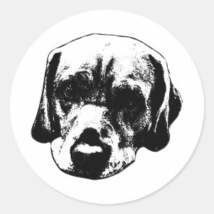 Labrador Nah-Up Black & White Portrait Sticker