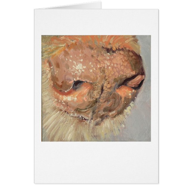 Labrador-Nase (Vorne)