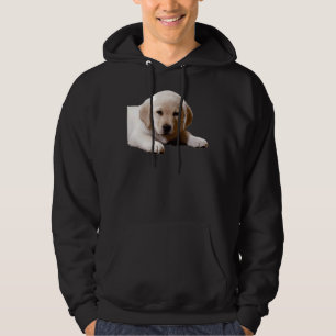 Labrador Nickerchen Time Hoodie