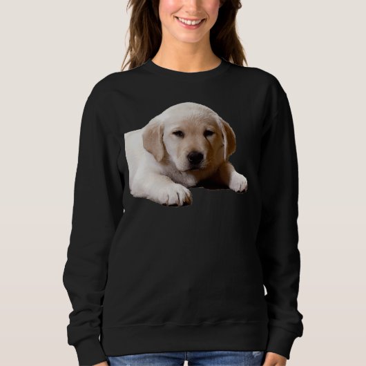 Labrador Nickerchen Time Sweatshirt (Vorderseite)