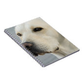 Labrador-Notizbuch Notizblock (Rechte Seite)